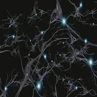 Mozak ćelije sa električnim posterima za pucanje otiska Bruce Rolff Stocktrek slike