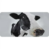 Glavni LPO u. Crno-bijela krava br. Photo Licency Plate