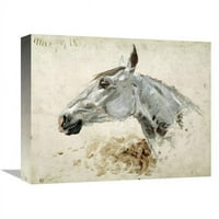 u. testo di cavallo art print - Henri Toulouse-lautrec