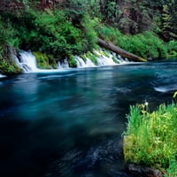 Rijeka Metolius u blizini kampa Sherman, Deschutes National Forest, Jefferson County, Oregon, USA Poster