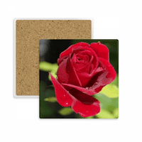 Tamne crvene ruže Cvijeće Kvadratni nosač šalice podloške držač za izolacijski kamen