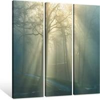 7WallArts - Sunshine kroz plavu šumsku zidnu umjetnost priroda Pluta fotografija Ben Heine maglovito