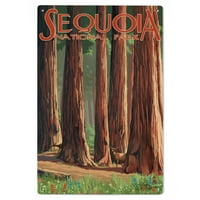 Nacionalni park Sequoia, Šumski šuma u proljetnom zidnom zidnom zidu breze