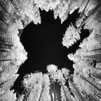 Infracrvena slika pogleda kroz stabla-yosemite Nacionalni park-Kalifornijski poster Print - Adam Jones