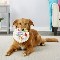 Pas torta igračka sa šarenim svijećama - otporan na ujeda, meko plišani - smiješni poklon za pse, vezena