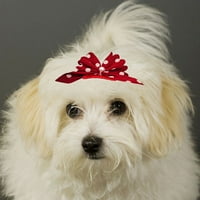Rygai pse za kosu za kosu Izvrsne ulova polka tačkice PET mačji pas Bowknot za kosu pribor za kućne ljubimce, ružičasti