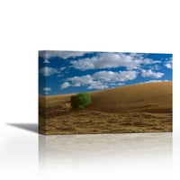 Spiljife trava na pješčanoj duni, pustinju Strzelecki, Australija - Savremena likovna umjetnost giclee