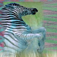 Zebra Zest by Robert Campbell