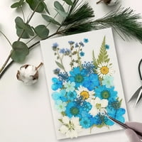 Prirodni sušeni cvjetni zanati reljefni buketi prešani cvijeće cvjetne dekore Kućni dekorativno za vjenčane kartice Smjeseća svijeća Plava cvjetna b Tip