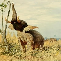 Divlji život svjetskog afričkog slona Print Friedrich Wilhelm Kuhnert