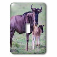 3Droza Afrika. Tanzanija. Wildebeest i beba u Nacionalnom parku Serengeti. - Jednokrevetni prekidač