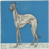 Greyhound Poster Print by Moriz Jung Moravia 1885� Manilowa)
