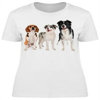 Građevinski Collies i majica Beagle Dog Žene -Image by Shutterstock, ženska XX-velika
