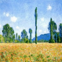 Poppy Field Monet - platno ili zidno umjetnički otisak