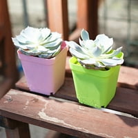 Papaba Flowerpot, kvadratni plastični cvjetni sočni postrojenje za sadnju za sadnju za sadnju sa cvijećem sa ladicom