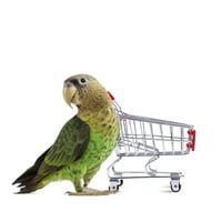 Slatka metalna korpa za kućne ljubimce ptica papagaj za začepljenja papaketa Lovebirds koktiel