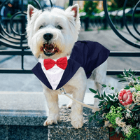 Pas TUXEDO Formalni majica luka za pse i bandana set za pse za vjenčanje za male srednje i velike pse