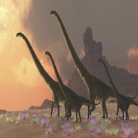 Dva mlada mamenhisaurus dinosaurusa hodaju sa dva odrasla mamenhisaurusa, jer traže bolju vegetaciju