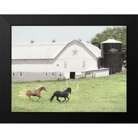 Deiter, lori crni modernog uokvirenog muzeja Art Print pod nazivom - popodne trčanje na farmi