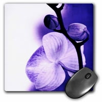 3Droza Zen Ljubičasta orhidejna cvjetna cvjetna umjetnost priroda, jastučić miša, po