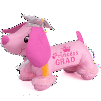 Star Gifts Princess Grad pas w olovka 14 plišana životinja, ružičasto srebro