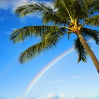 Hawaii, Oahu, Honolulu, Park na plaži Ala Moana, Palm Tree i Rainbow Poster Print