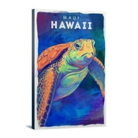 Maui, Havaji, morska kornjača, živopis