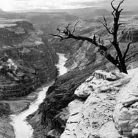 Grand Canyon, 1958. Nstill iz dokumentarnog filma 'Grand Canyon,' 1958. Poster Print by
