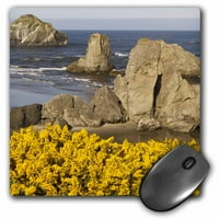3drose pogled na plažu, bandon, oregon, SAD - US WSU - William Sutton - jastučić za miš, by