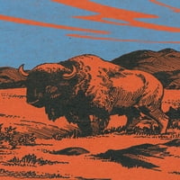Pogled na bizon na prerijskom časopisu, vintage magazin