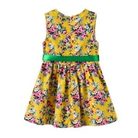 Mafytytpr Dječji klirens pod 5 $ DIDDLER Kids Dječji djevojke slatke ljetne cvijeće Ispiši haljinu haljina suknjana suknja cvjetna haljina